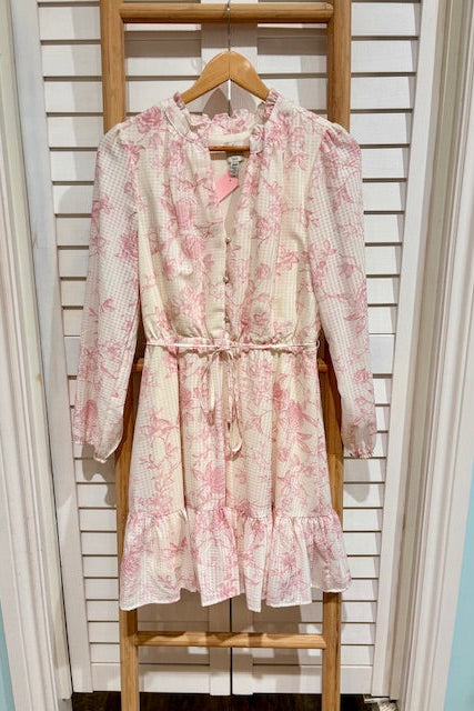 JOIE- Dress (M)
