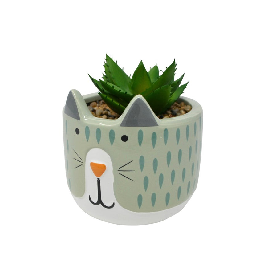 NEW! Green Cat Plant