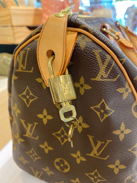 LOUIS VUITTON Speedy 30