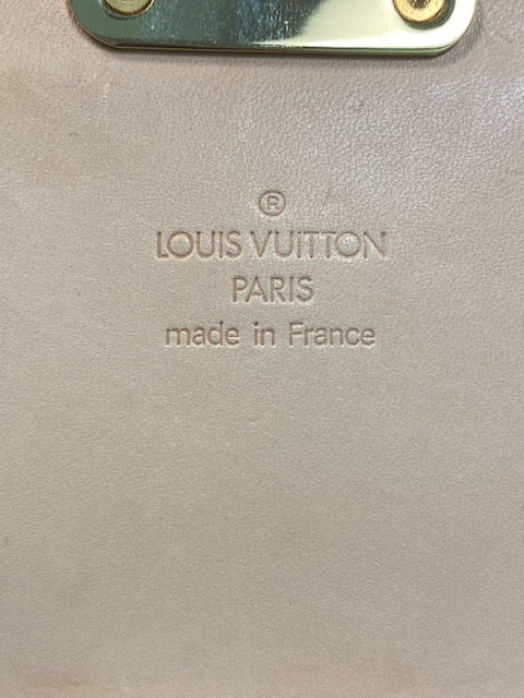 LOUIS VUITTON Multicolour Solange Crossbody