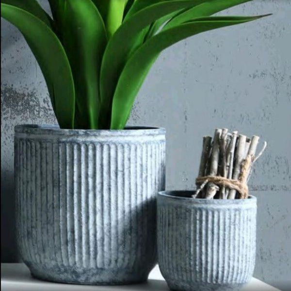 Navy Planter