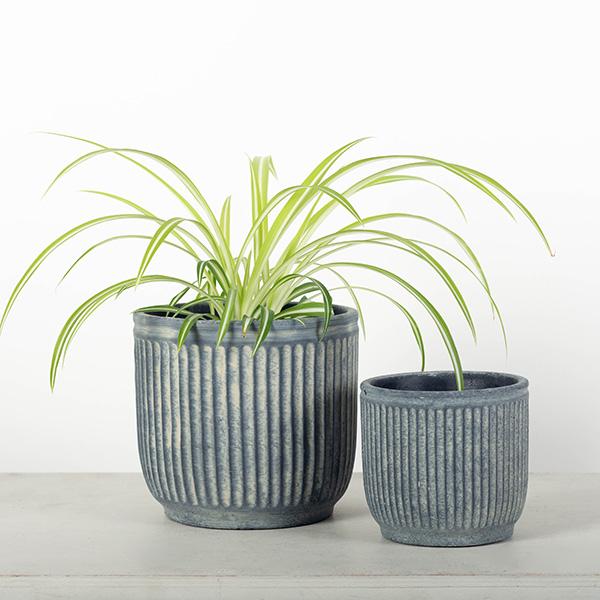 Navy Planter